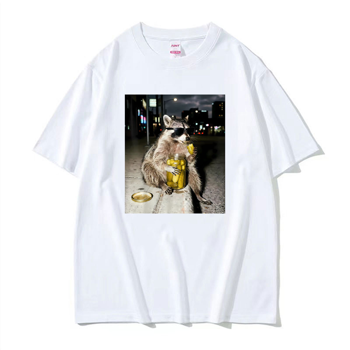 Women Fashion Png - Kaos Lucu Gambar Raccoon Memakai Kacamata